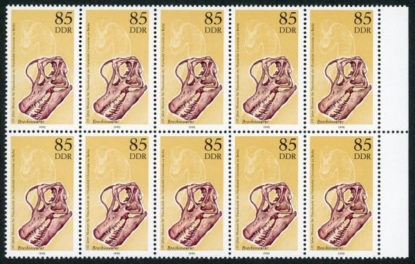 DDR 3328 f32 (10) **