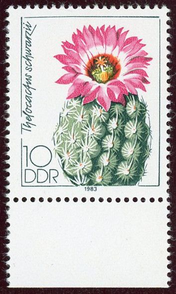 DDR 2803 f42 R **